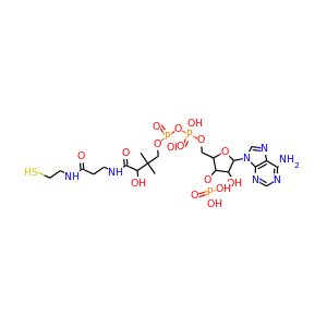 Coenzyme A